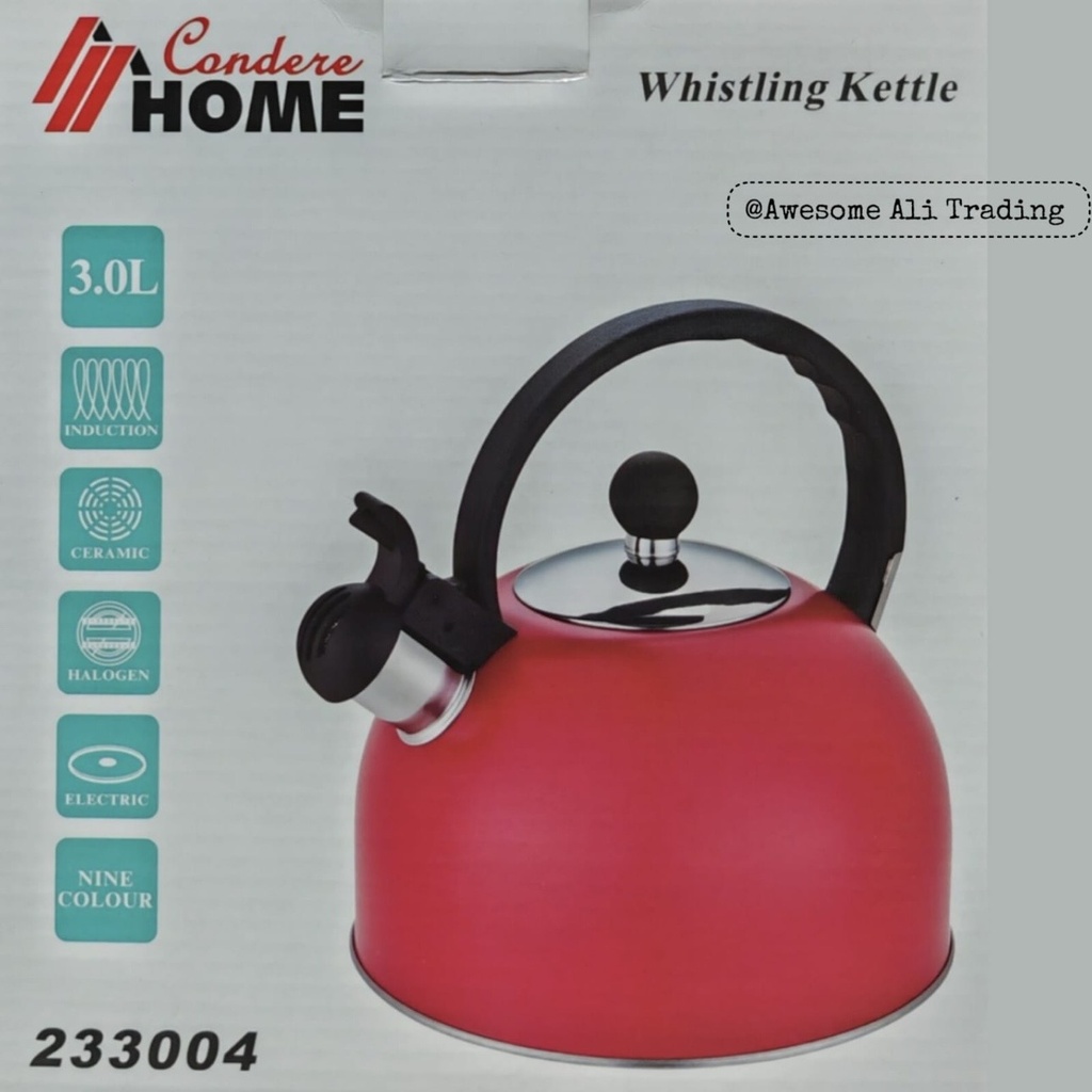 3L stainless steel kettle