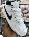 Nike armbush dunk