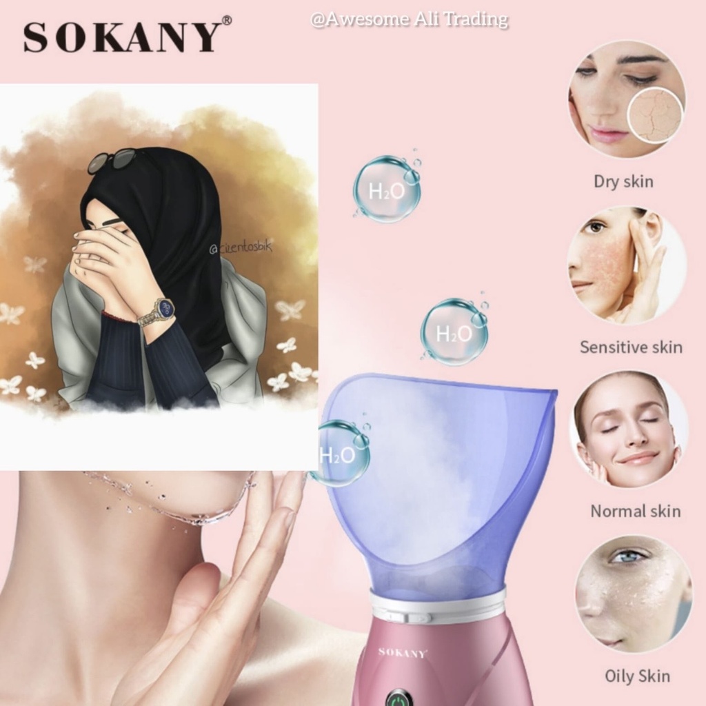 Facial iron steamer