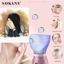 Facial iron steamer