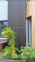 Bamboo Cladding and Decking